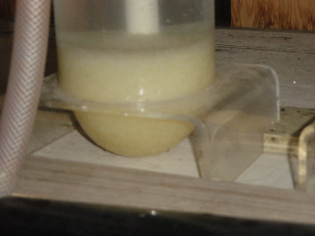 Eggs in Jar